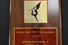 2009 - SNWGA Foothill