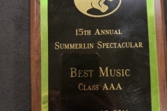 2014 - Summerlin Spectacular