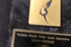 2010 - SNWGA Championships