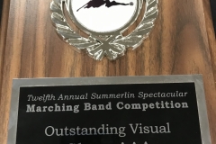 2011 - Summerlin Spectacular