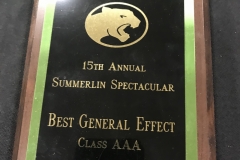 2014 - Summerlin Spectacular
