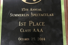 2014 - Summerlin Spectacular